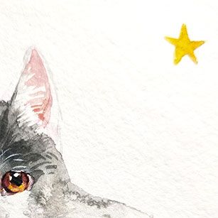 Minette